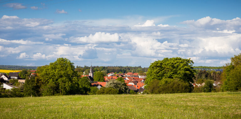 Fernwald